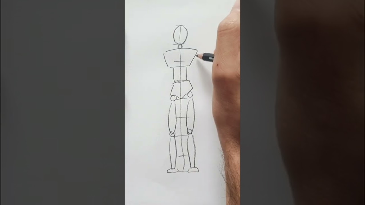 Dessiner le corps humain avec les bonnes proportions.
