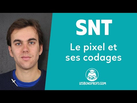 Le pixel et ses codages - SNT - Seconde - Les Bons Profs
