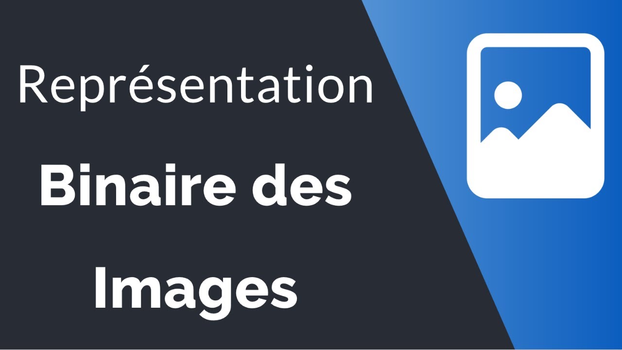 Représentation binaire des images : noir et blanc, niveaux de gris et  couleur.