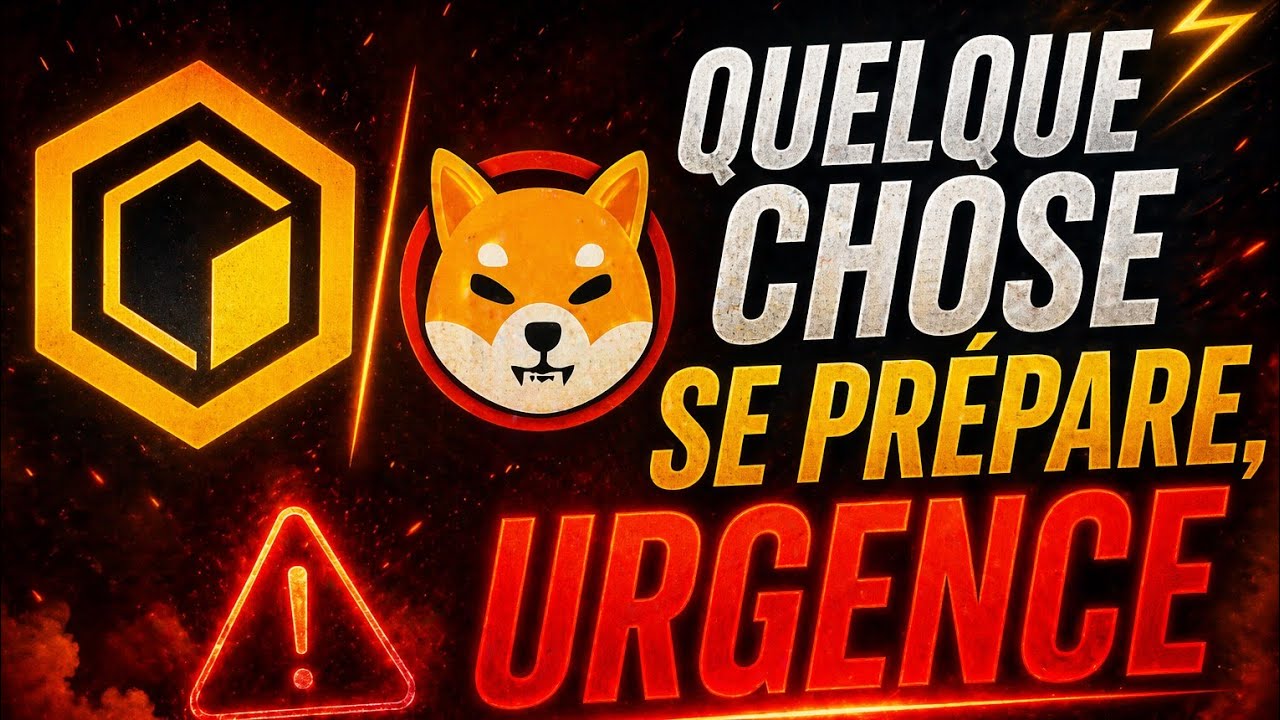 SHIBA INU REVIENT AVEC FORCE ?