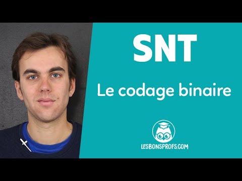 Le codage binaire - SNT - Seconde - Les Bons Profs