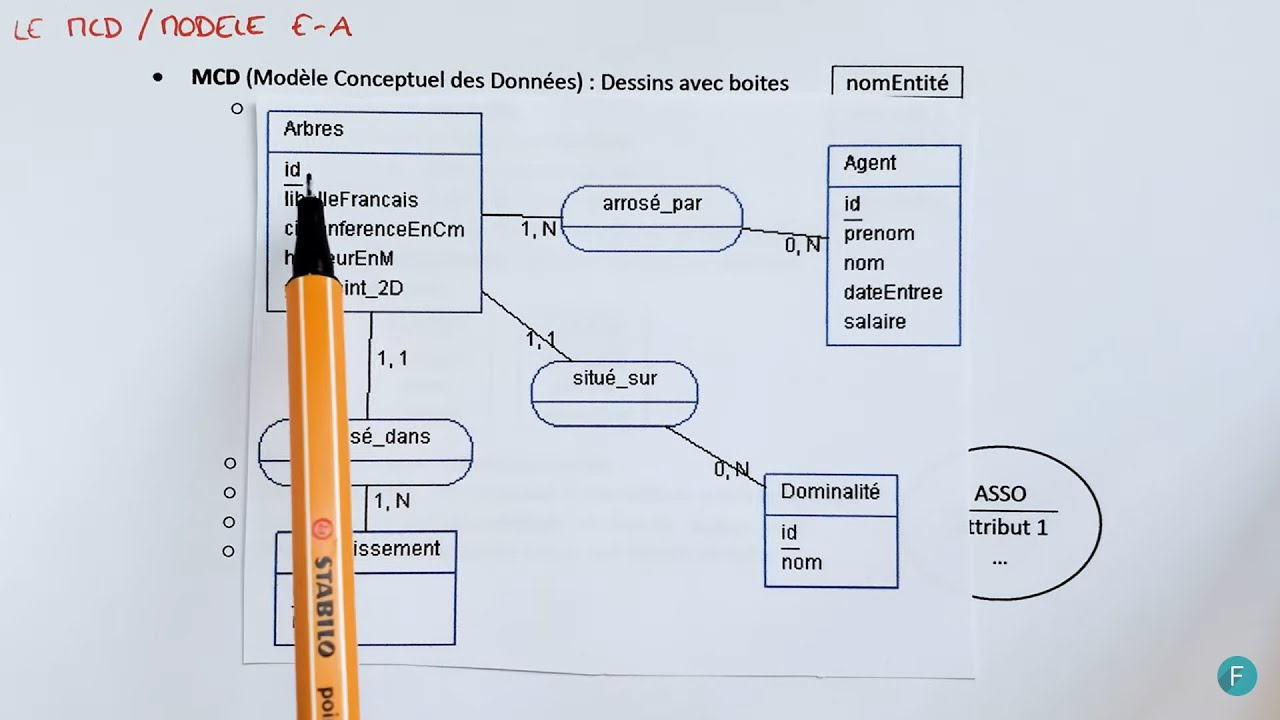 Le Modèle Conceptuel de Données (MCD) / Modèle EA - Fonctionnement & Exemple - Bases de données