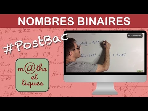 Comprendre le système binaire